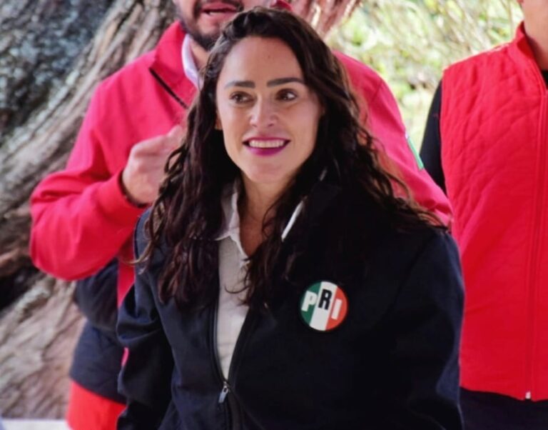 Urgente regulación en el precio de la canasta básica: Abigail Arredondo