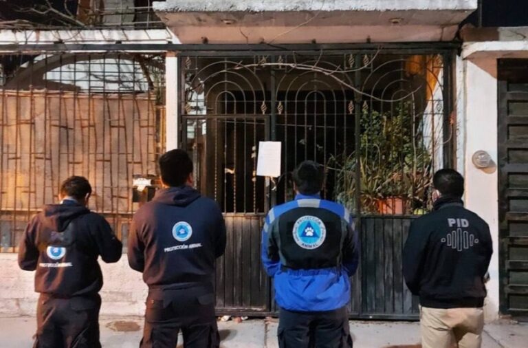 Fiscalía realiza cateo en colonia El Vergel, para rescatar 6 perros