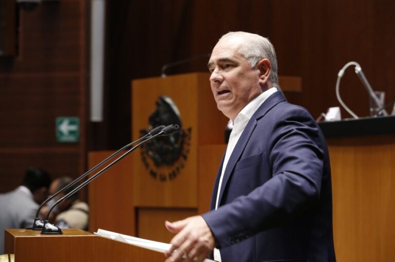 LE PONDREMOS ALTO AL AGANDALLE AL INE POR PARTE DE MORENA: JULEN REMENTERÍA