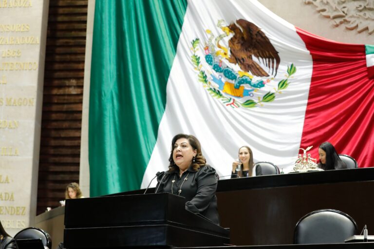 Plantean que sea requisito para ser legislador o legisladora no haber sido persona condenada por violencia familiar
