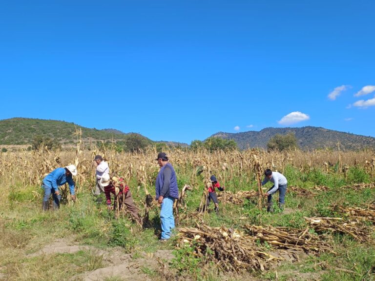 Ante exclusión gubernamental más de 5 mil campesinos tomarán la CDMX: UNTA