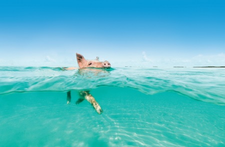 Exumas: el paraíso caribeño que promete encantar en 2025