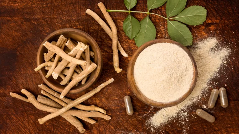Ashwagandha: ¿Qué es y por qué se volvió popular para combatir el estrés y la ansiedad?