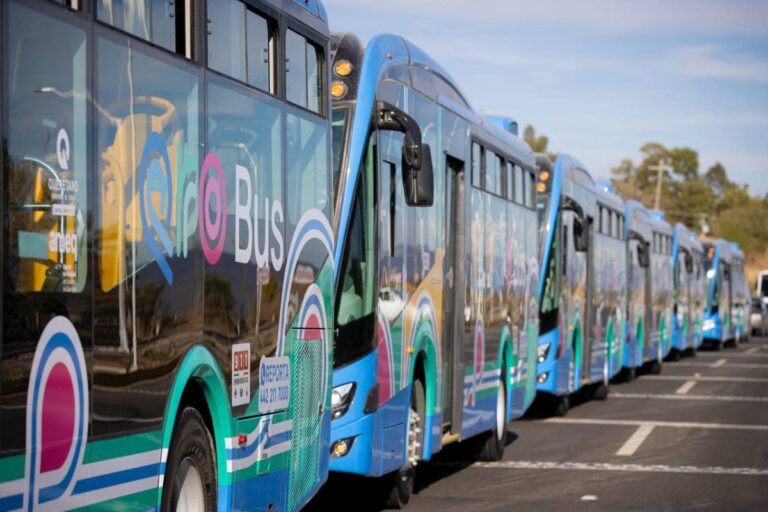 Qrobus se Prepara para el Regreso a Clases en Querétaro con Más de 1,000 Unidades y Nuevas Rutas Exprés
