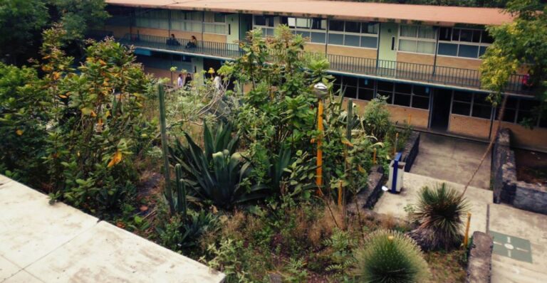 Inicia FGJ-CDMX Investigación por Homicidio en el CCH Sur