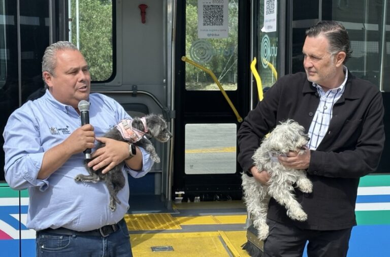 Qrobús se Vuelve Pet Friendly: Mascotas Pequeñas Podrán Viajar en el Transporte de Querétaro