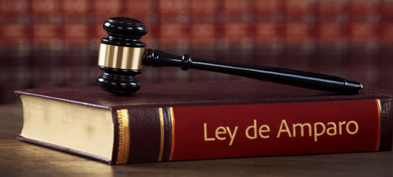 Alarma en Ley de Amparo: Expertos ven riesgos democráticos