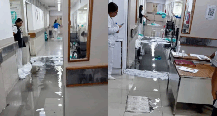 IMSS 2025-10-14 12.18.53 PM