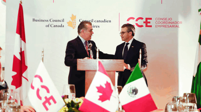 CEO Dialogue 2025-10-15 11.34.23 AM