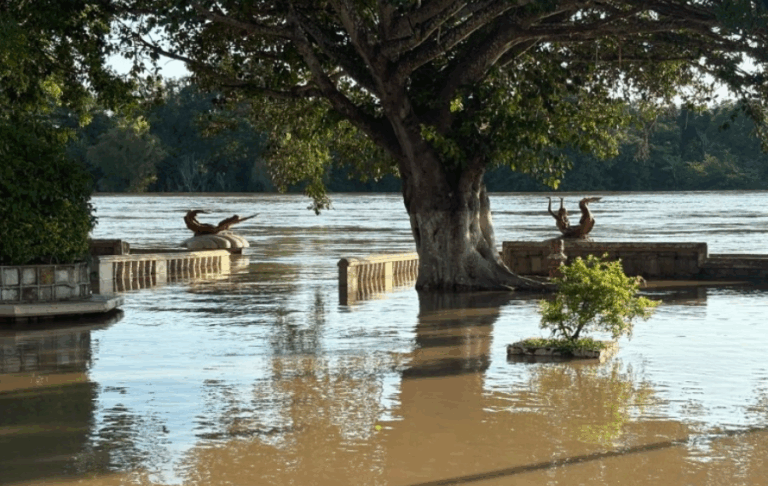 ¡NO HAY TREGUA! Lluvias Dejan 19 Muertos en Puebla y Alertan por Desbordamiento del Río Pánuco