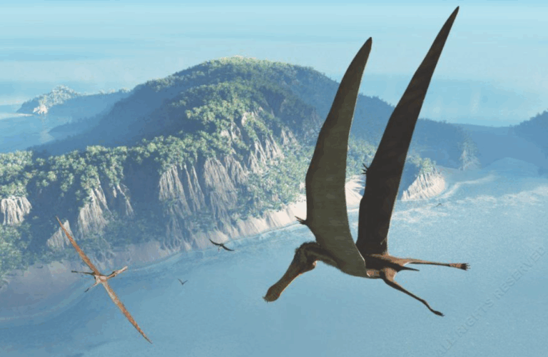 Revelan que Pterosaurios Volaron con un Cerebro Modesto; Nueva Vía de Evolución