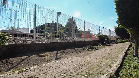 Municipio de Querétaro Asegura que Remoción de Árboles por Obras del Tren no Superará el Centenar