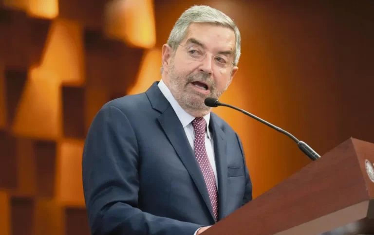 Canciller Juan Ramón de la Fuente se Separa Temporalmente del Cargo