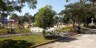 Buscarán que Parque Alcanfores sea Declarado Área Natural Protegida, Anuncia Mauricio Kuri