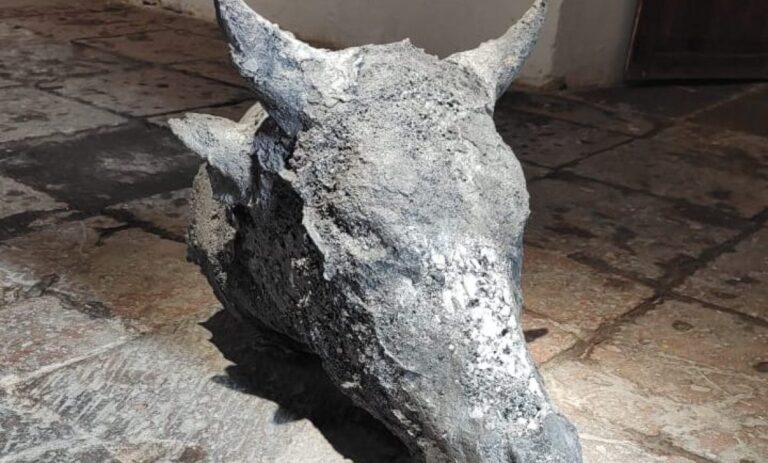 “El Peso de la Sombra”: Arte Francés de Jean-María Perdrix en el Museo de la Ciudad de Querétaro