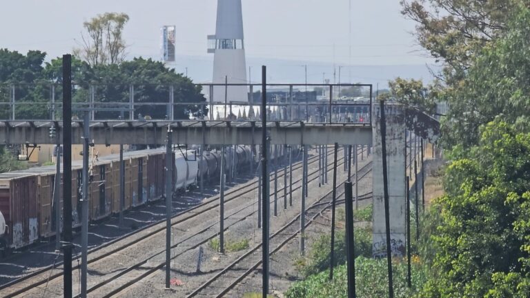 Ciudadanos Decidirán el Futuro del Parque Los Alcanfores en Querétaro