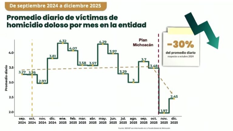 Plan Michoacán: Homicidios dolosos disminuyen 30% bajo nueva estrategia de seguridad