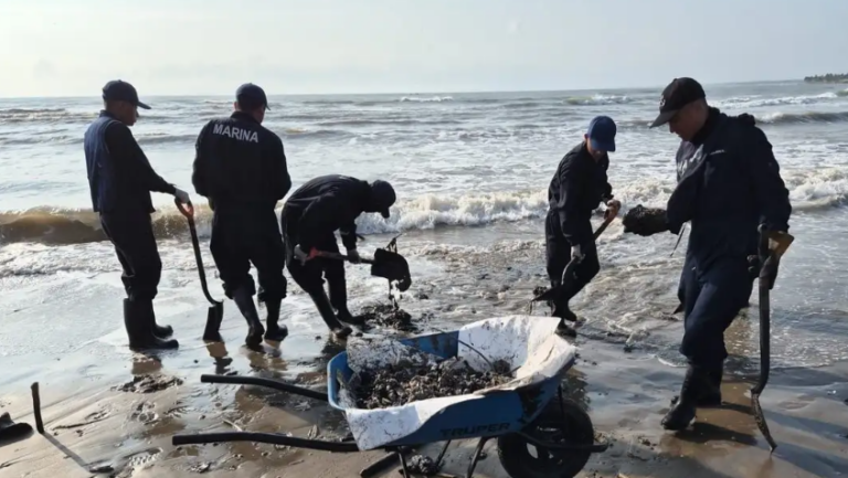 Limpieza profunda en Veracruz