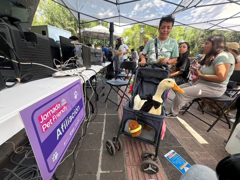 Afilian a 350 mascotas al programa PetFriendly del sistema Qrobus