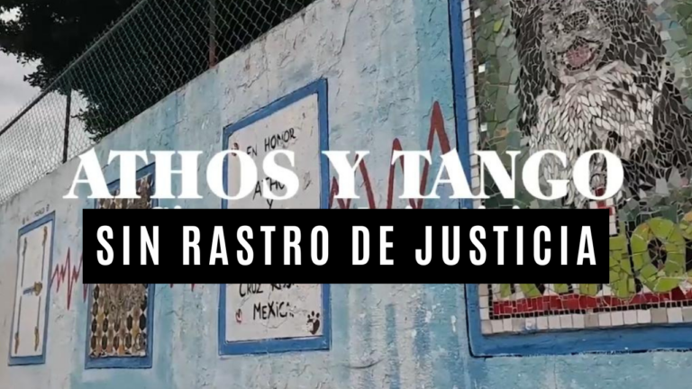 ATHOS Y TANGO: Sin rastro de justicia 