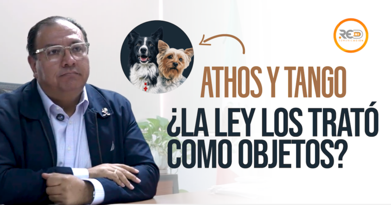 Caso Athos y Tango evidencia vacíos legales en sanciones por maltrato animal: académico de la UAQ