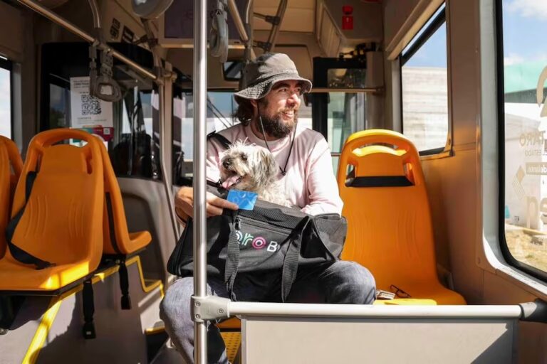 Qrobús lanza jornada de registro PetFriendly: Cómo viajar con tu mascota en Querétaro