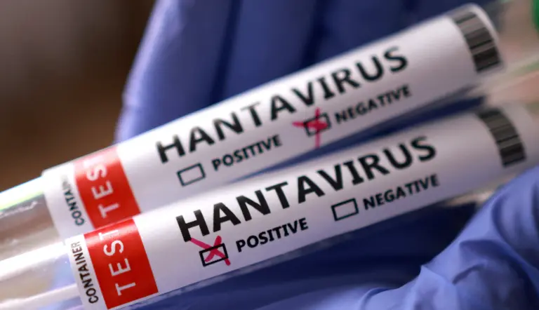 Guía de síntomas y riesgos del hantavirus ante el brote en el crucero MV Hondius