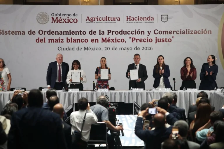 Firma gobierno acuerdo con productores para garantizar «precio justo» del maíz blanco