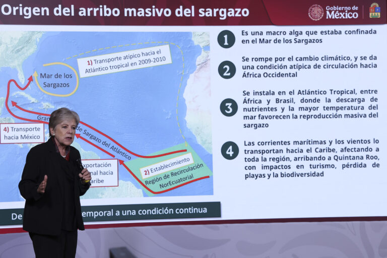 Gobierno federal destina 2 mil mdp para contener la llegada masiva de sargazo a Quintana Roo
