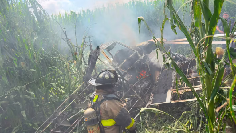 Piloto resulta ileso tras desplome de aeronave de fumigación en San Juan del Río