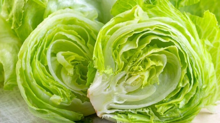 Taco Bell retira lechuga iceberg mexicana de sus restaurantes en EE. UU. tras brote de ciclosporiasis