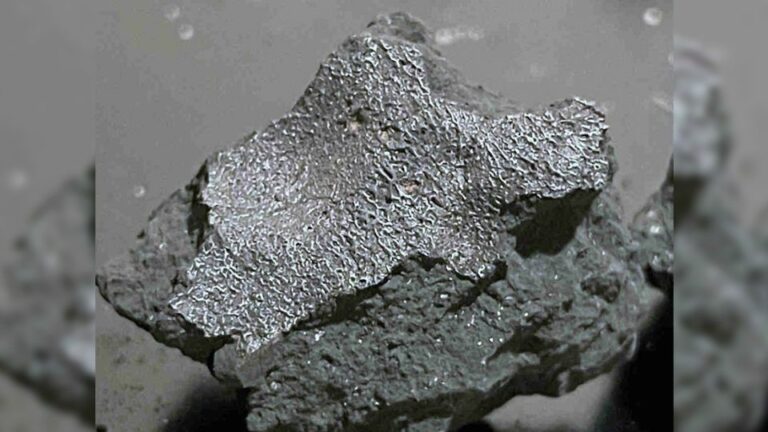 Meteorito que cayó en una casa de Nueva Jersey revela secretos sobre el origen de la vida en la Tierra