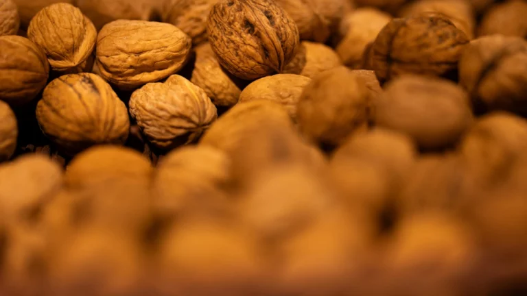 China impone aranceles de hasta 54.3% a las nueces pecanas de México y EE. UU. por investigación antidumping