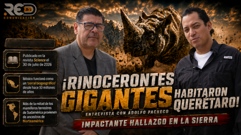 Estudio revela que el Gran Intercambio Mamífero inició hace 10 millones de años en México