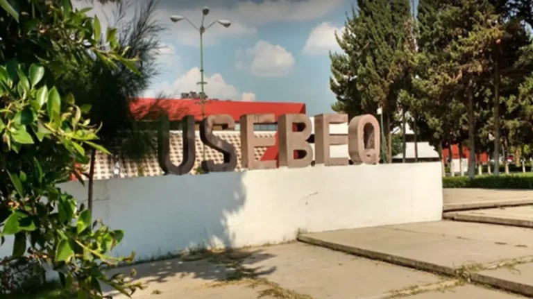 USEBEQ reconoce fallas en plataforma federal para asignación de plazas docentes
