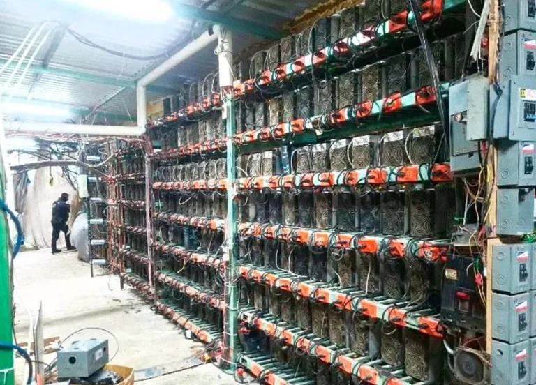 Desmantelan granja clandestina de criptomonedas en la Sierra Norte de Puebla