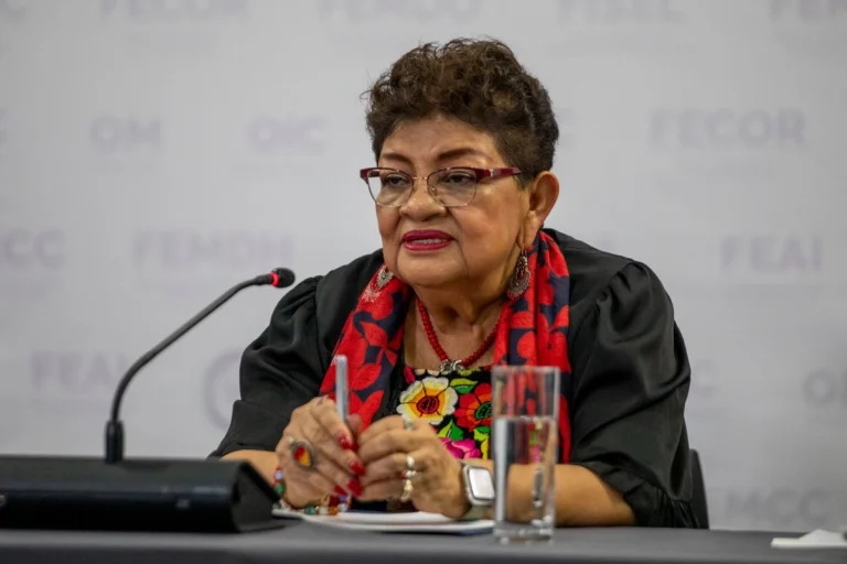 Soberanía nacional no se somete a presiones externas ni internas, asevera Ernestina Godoy