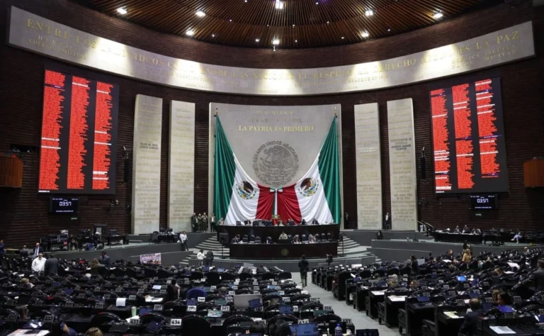 Guadalupe Taddei formaliza su renuncia al INE ante la Cámara de Diputados y arranca el proceso para su relevo
